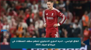 إنفاق قياسي.. أندية الدوري الإنجليزي تحطم سقف الصفقات في ميركاتو صيف 2025